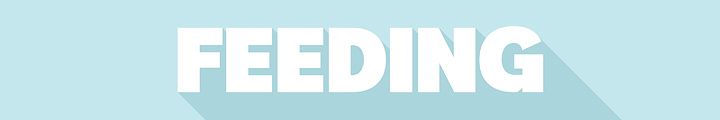 063_CaseTitle_1480x225