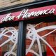 AlbaFlamenca_T