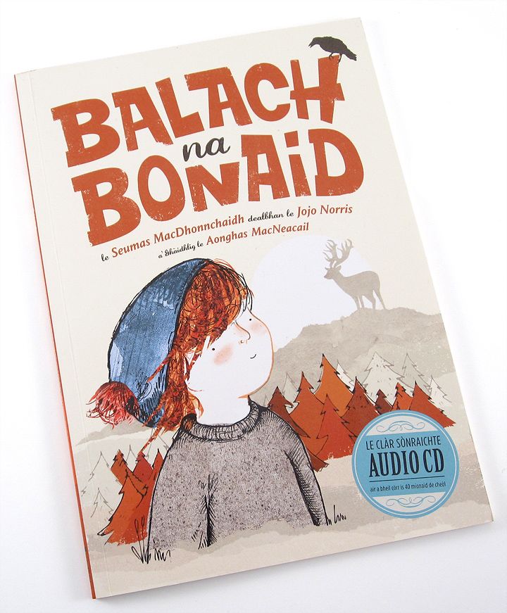 BoyAndTheBunnet_covers_photo_1_16K