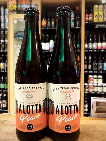 Campervan_ALottaPeach_1_H_16K