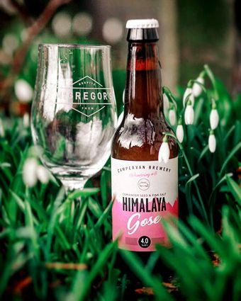 Campervan_HimalayaGose_2_H_16K