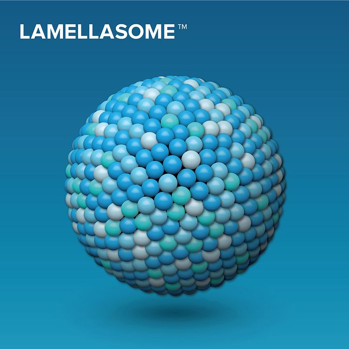 Lamellasome_1_16K