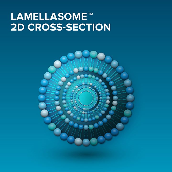 Lamellasome_2_16K