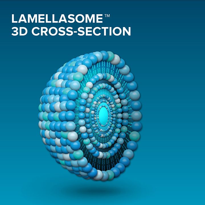 Lamellasome_3_16K
