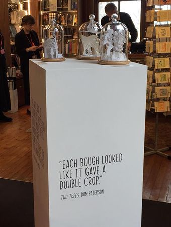 Storyworlds_photo_4_H_16K