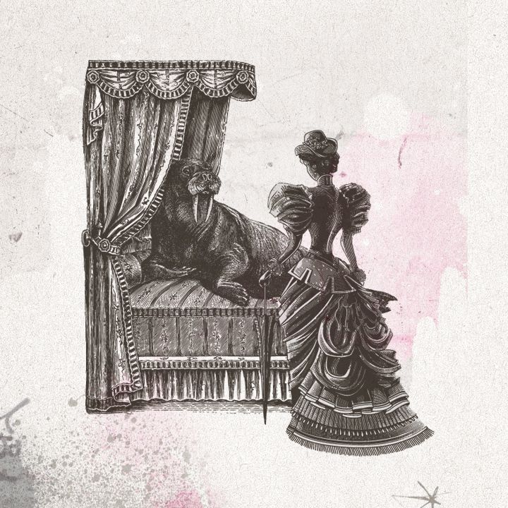 vintage_illustrations_2_16K