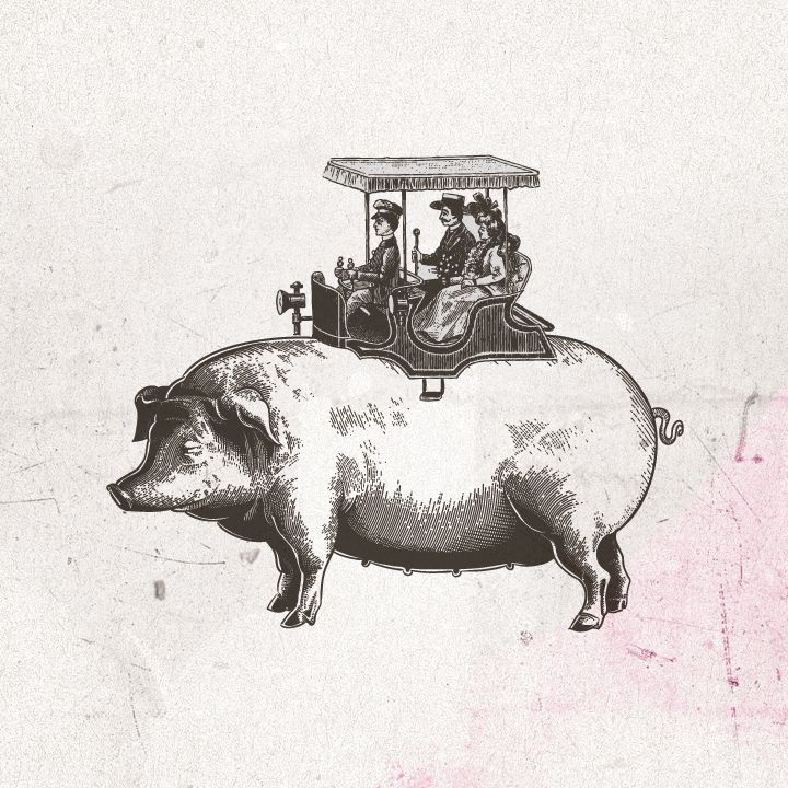 vintage_illustrations_7_16K