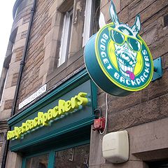 BudgetBackpackers_T BudgetBackpackers_T