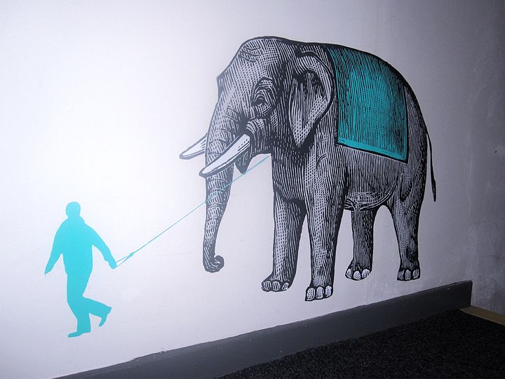 KickAss_ElephantWalk_16K KickAss_ElephantWalk_16K