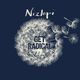 Nizlopi_T_16K