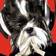 TheDog_covers_2_T_16K