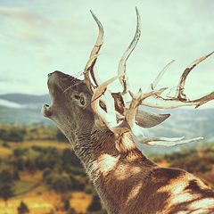 queensview_t_3_16k