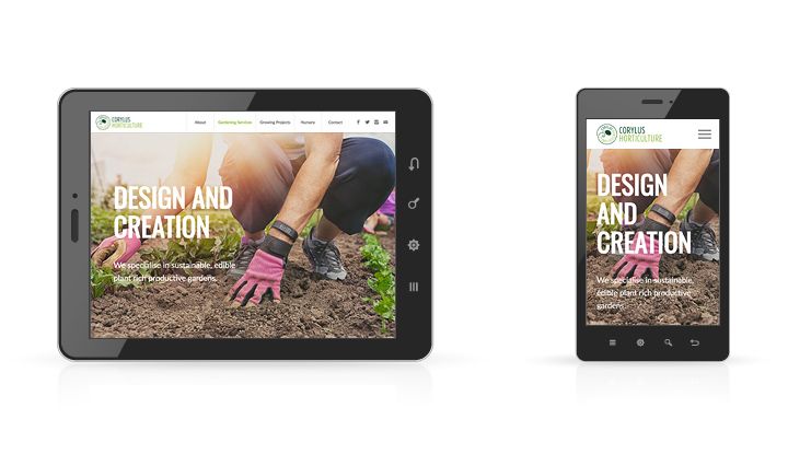 Corylus_responsive_16K