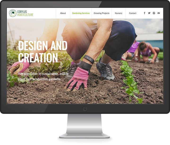 Corylus_website_1_16K