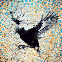 LukeConcannon_web_T2_16K