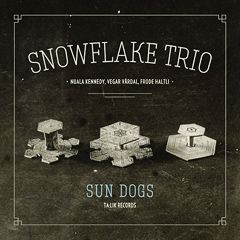 SnowflakeTrio_T2_16K