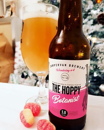 Campervan_HoppyBotanist_2_H_16K