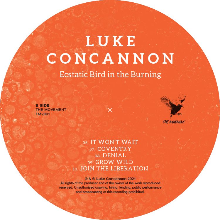 Luke-Concannon-Ecstatic-Bird-centres-1-16K